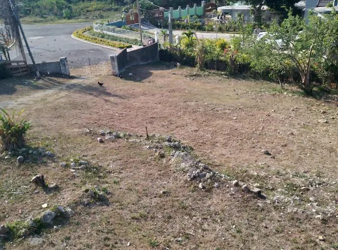 Mango Walk Homestay