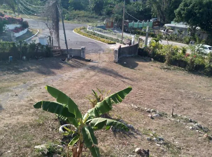 Homestay Mango Walk