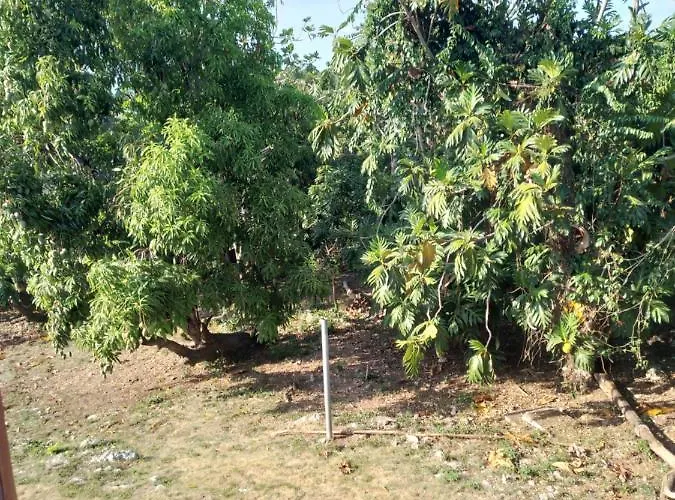 Mango Walk Homestay