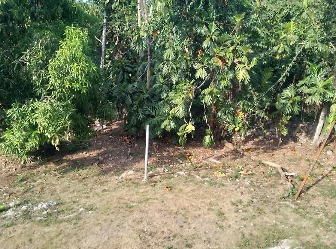 Homestay Mango Walk