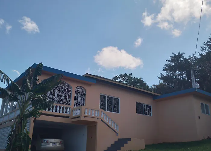 Mango Walk * Montego Bay